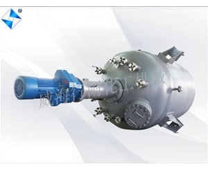 大型生產(chǎn)型反應釜