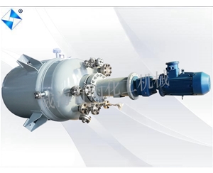 生產(chǎn)型反應釜